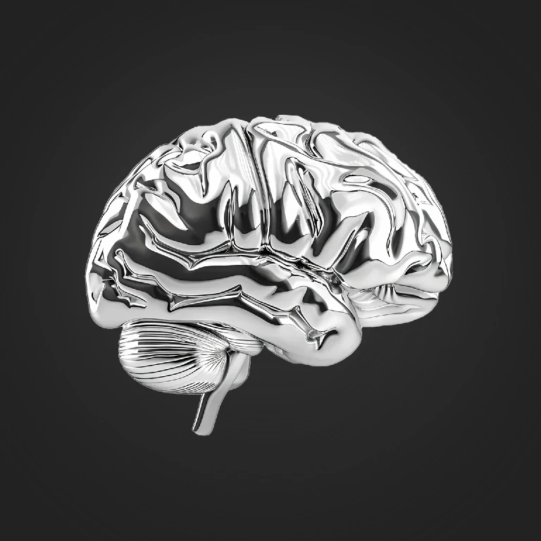 ذهنیت یک جنگاور